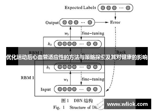 优化运动后心血管适应性的方法与策略探索及其对健康的影响