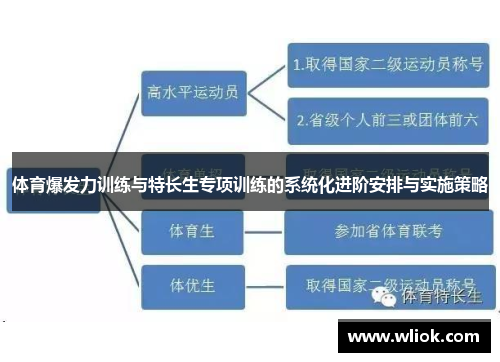 体育爆发力训练与特长生专项训练的系统化进阶安排与实施策略