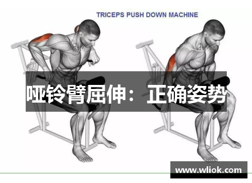哑铃臂屈伸：正确姿势